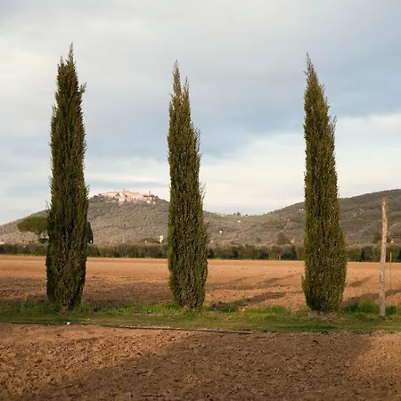 Guadalupe Tuscany