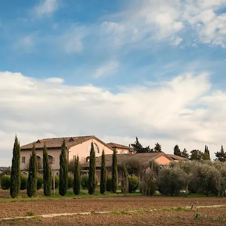 Guadalupe Tuscany